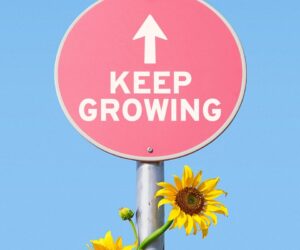 “Votre attitude détermine votre altitude”