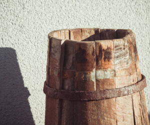 Une croissance ExponenCiel le tonneau