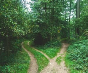 Il n’existe pas un seul chemin de croissance — il existe votre chemin